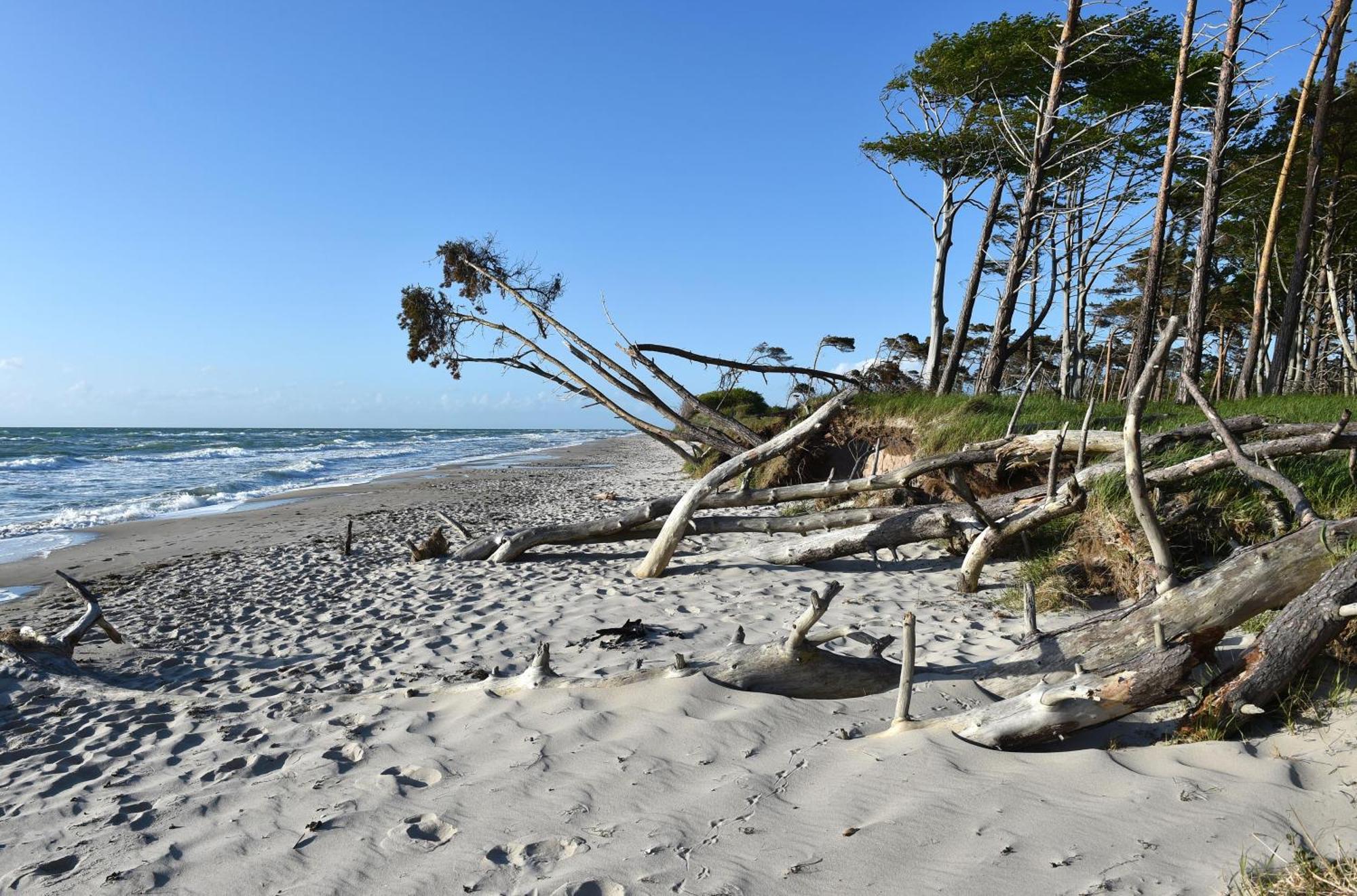 Strand Zingst Eksteriør bilde